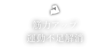 筋力アップ/運動不足解消